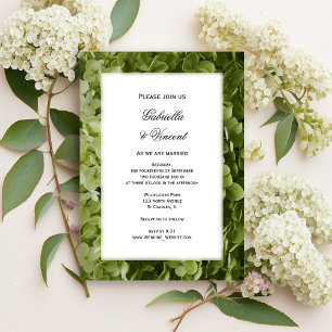 Convite O Hydrangea verde de Annabelle floresce o