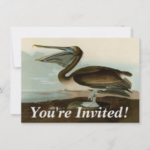 Convite Obras de Arte de John James Audubon Brown Pelican