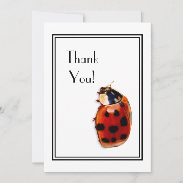 Convite Obrigado Chic Spotted Ladybug (Frente)