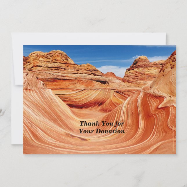 Convite Obrigado pelo Paraíso Fotográfico de Donação Memor (Frente)