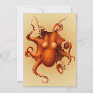 Convite Octopus Sea Monster Cephalapod Vintage
