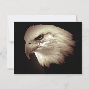 Convite Olhar do Águia Americana Careca Convida