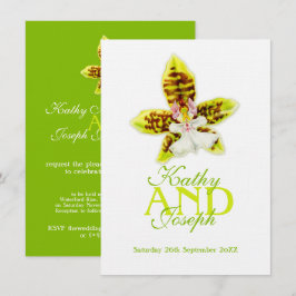 Convite Oncidium Leucochilum orchid flor verde