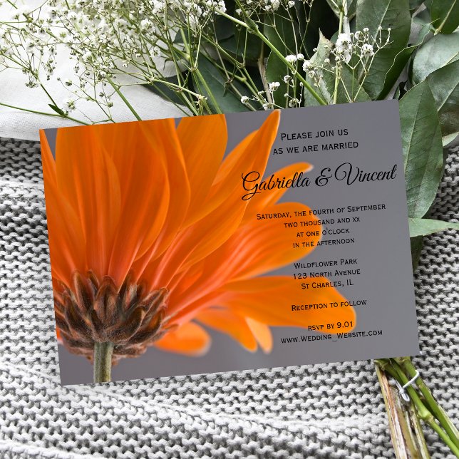 Convite Orange Daisy sobre Casamento de Cinzas (Invite guests to your garden marriage with the pretty Orange Daisy on Gray Wedding Invitation.)
