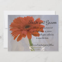 Orange Gerber Daisy in Vase Wedding Save the Date