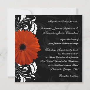 Convite Orange Gerbera Daisy com rolagem de preto e branco