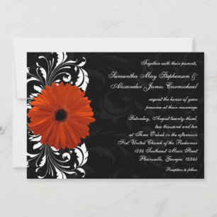 Convite Orange Gerbera Daisy com rolagem de preto e branco