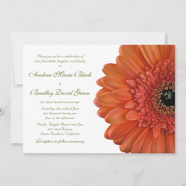 Convite Orange Gerbera Daisy Flower Invitation (Frente)