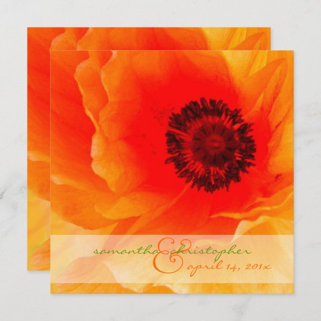 Convite Orange Poppy/Convites de casamento (Frente/Verso)