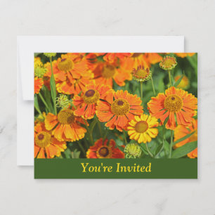 Convite Orange Sneezewort Flowers Surpresa Aniversário