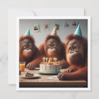Orangutangas comemorando, aniversário de fotos mac