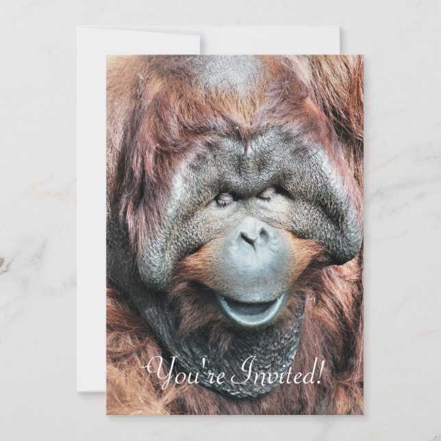 CONVITE ORANGUTANOS (Frente)