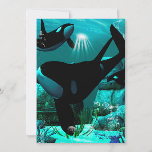 Convite Orcas