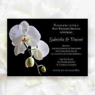 Convite Orquídea Branca em Brunch de Pós-Casamento em Post