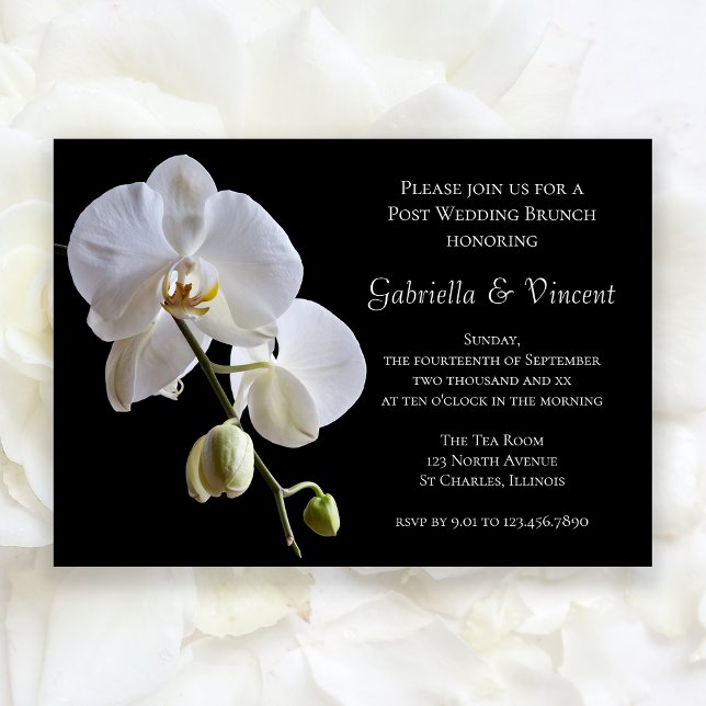 Convite Orquídea Branca em Brunch de Pós-Casamento em Post (Criador carregado)