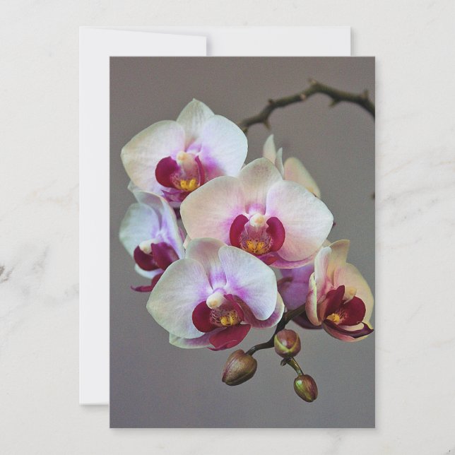 Convite Orquídea diminuta (Frente)