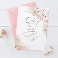 Orquídeas Pampas Grass Baby in BlosanChá de fralda