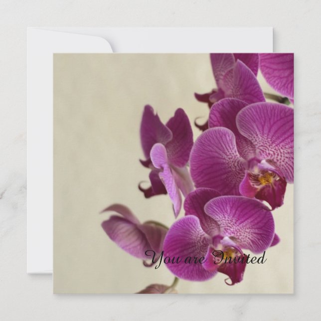 Convite Orquídeas Rosa Flores Aniversário (Frente)