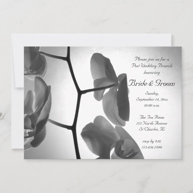 Convite Orquídeas sobre o Posto Stem Wedding Brunch Convit (Frente)