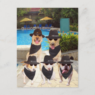 Convite Os cães engraçados customizáveis dos