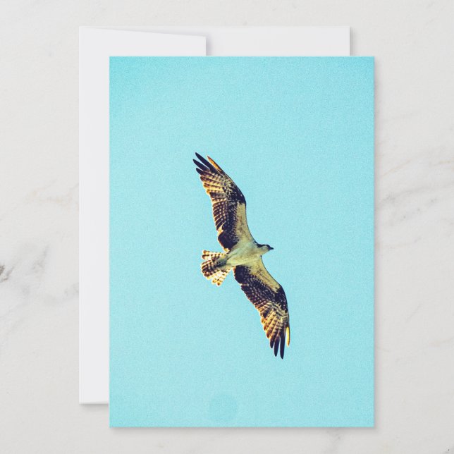 Convite Osprey art (Frente)