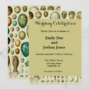 Convite Ovos de Pássaros Antigos Arte de Ovos de Peixe Fra