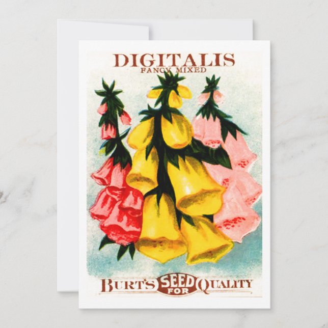 Convite Pacote Assorted da semente do Foxglove da digital (Frente)
