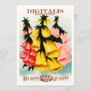 Convite Pacote Assorted da semente do Foxglove da digital