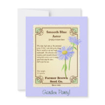 Pacote azul da semente do áster