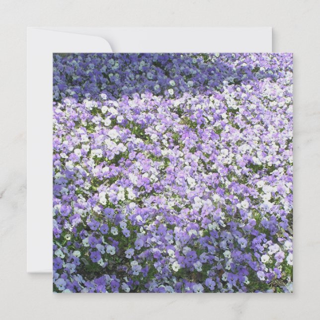 Convite Pansy (Frente)