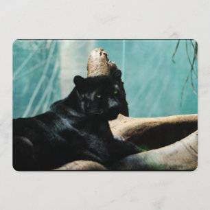 Convite Pantera com Olhos Piercing