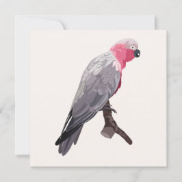 Convite Papagaio rosa desenhado à mão, ave tropical.