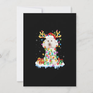 Convite Papais noeis de Poodle Reindet Natal Camisa Engraç