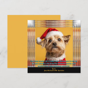 Convite Papais noeis estão no caminho Foto de Natal Yorkie