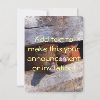 Convite Par Pir Par Pigões