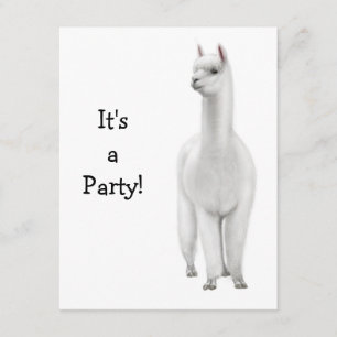 Convite para Alpaca