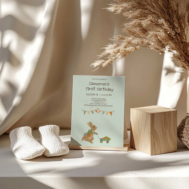 Convite para Aniversário de criança de Coelho Pete (Criador carregado)