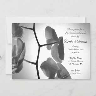 Convite para Brunch de Pós-Casamento com Orquídeas