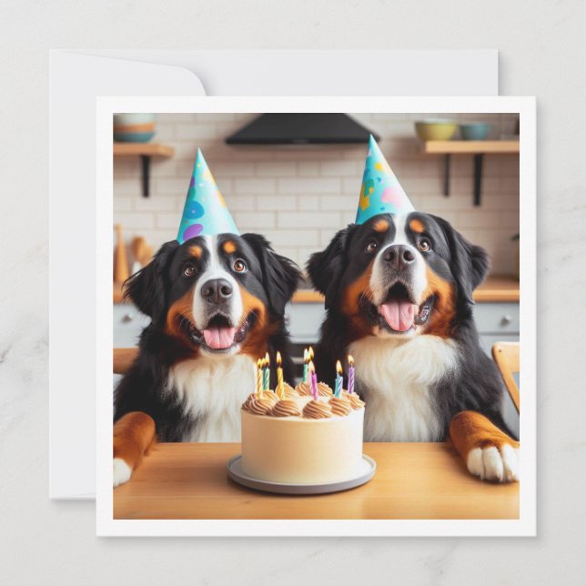Convite para cães da Montanha Bernese, aniversário (Frente)