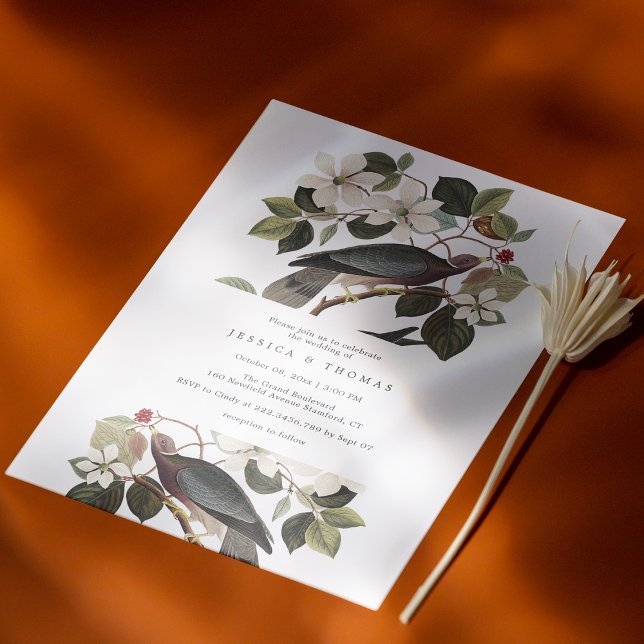Convite para Casamento de Casal de Pombo Limpo e E (Elegant & Personalized: Pigeon Love Story Wedding Invitation)