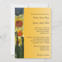 convite para casamento de girny daffodil