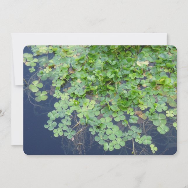 Convite para Casamento de Primaveras irlandês (Frente)