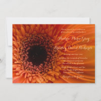 Convite para Casamento Orange Gerbera Daisy Macro