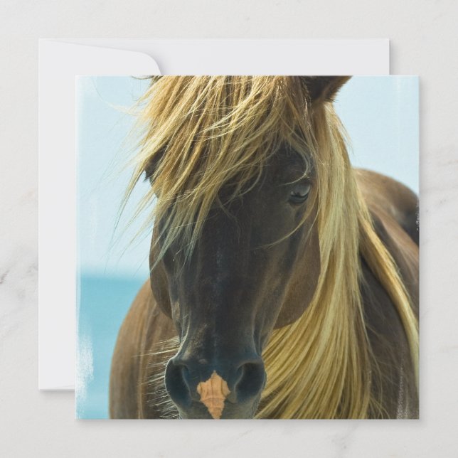 Convite para Cavalo de Mustang (Frente)