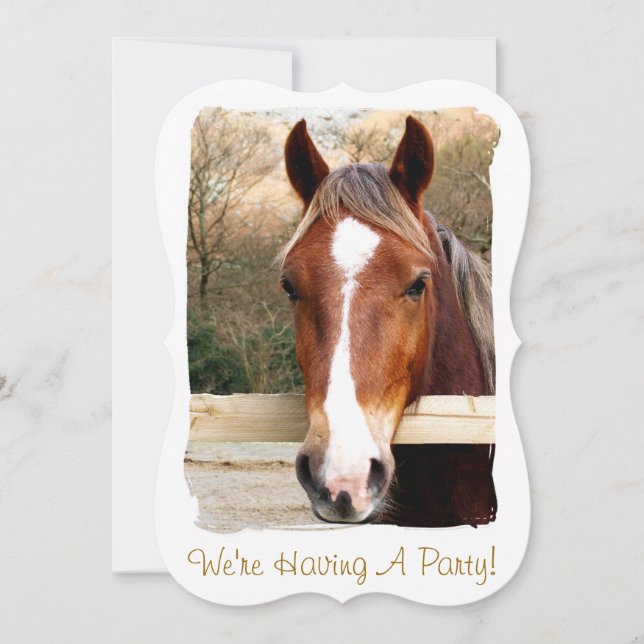 CONVITE PARA CAVALOS (Frente)