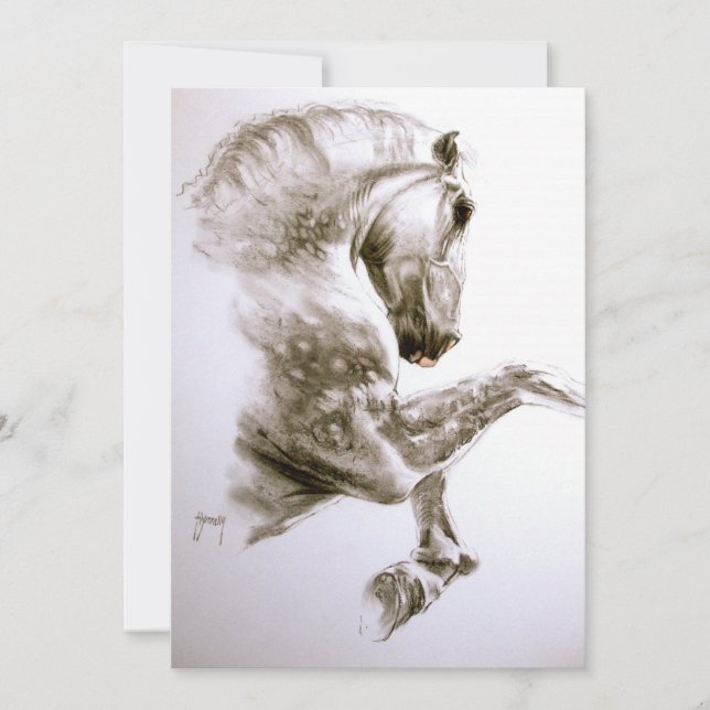 Convite para Cavalos de Criação (Frente)