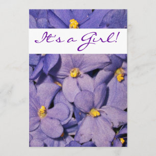 Convite para Chás de fraldas de Violetas Africano