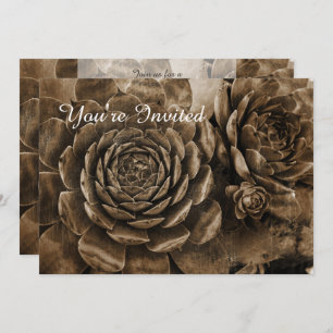 Convite para Chás de fraldas Sucultos em Galinhas 