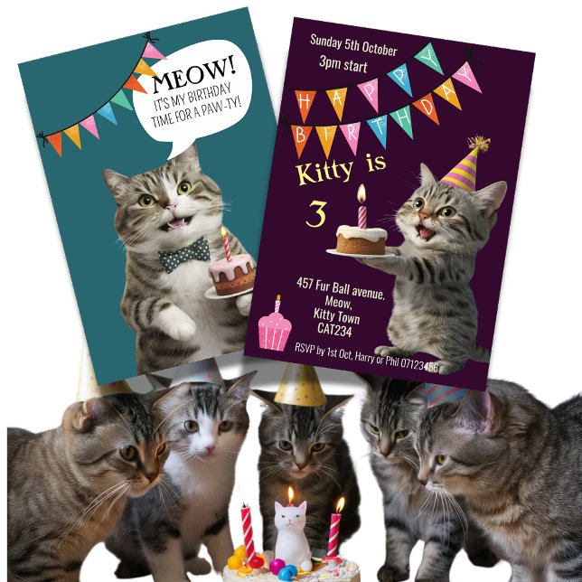 Convite para comemoração de gatinho festa de anive (Criador carregado)