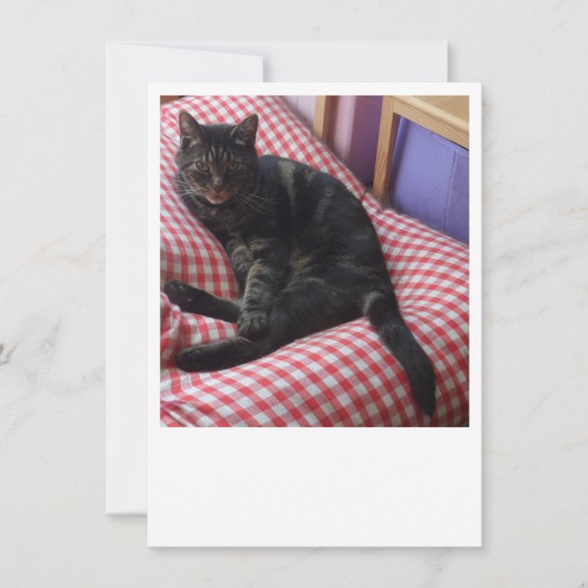 Convite para Dave Bonito (Frente)